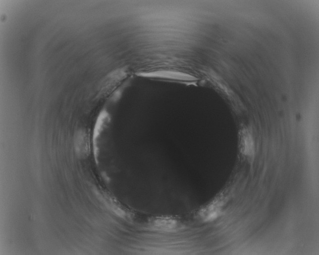 X0000066090471200603312004