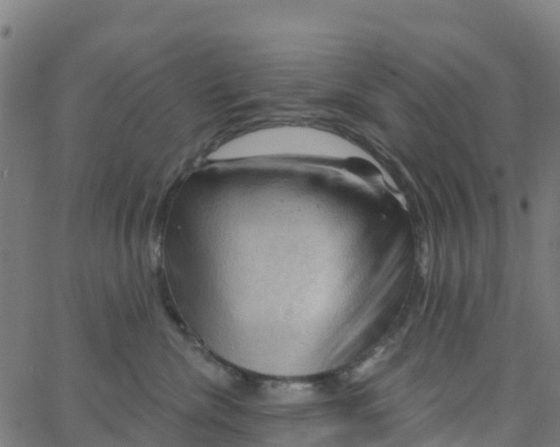 X0000066090476200603312004