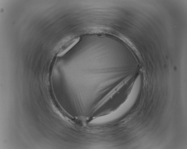 X0000066090485200603312004