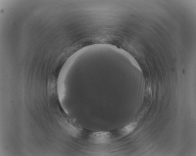 X0000066090526200603312003