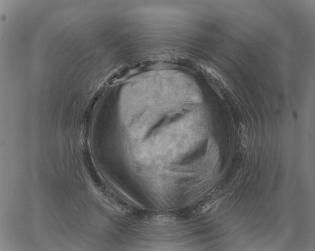 X0000066090546200603312002
