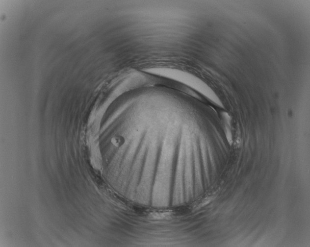 X0000066090560200603312003