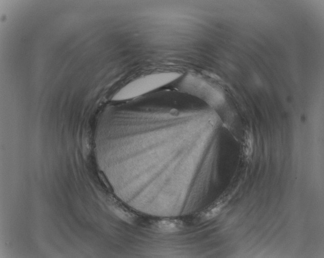 X0000066090566200603312003