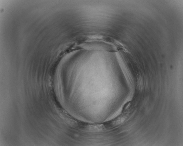 X0000066090571200603312003