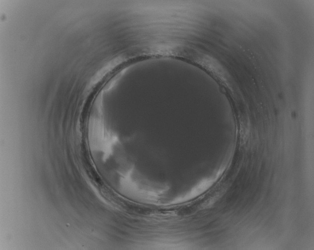 X0000066090674200603312001