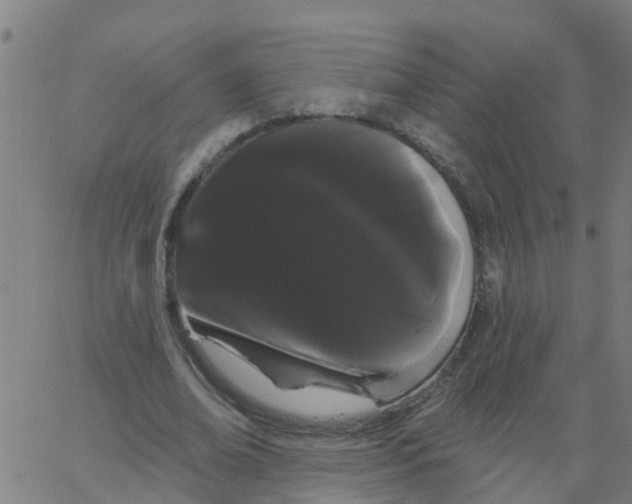 X0000066090678200603312001