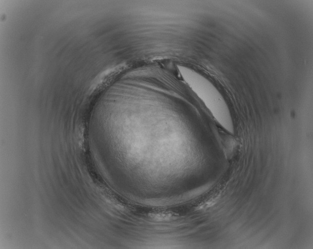 X0000066090693200603312000
