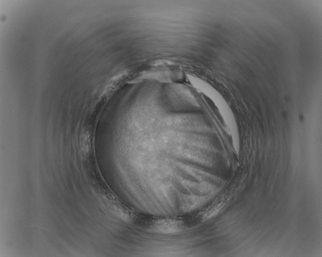 X0000066090708200603312000