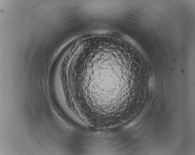 X0000066090722200603311959