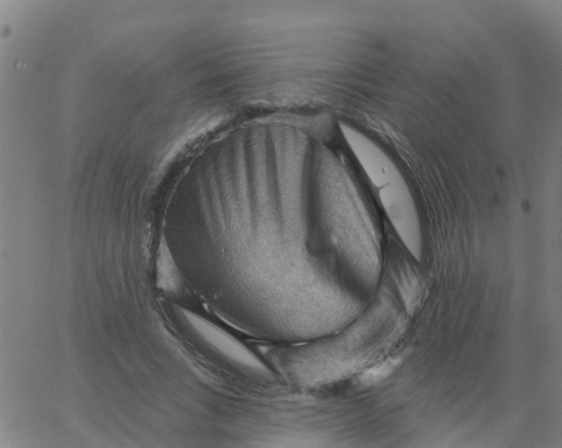 X0000066090735200603311959