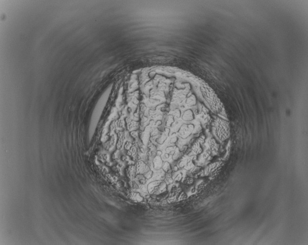 X0000066090745200603311959