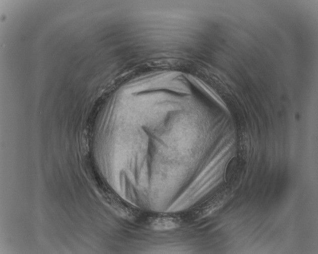 X0000066090751200603312000