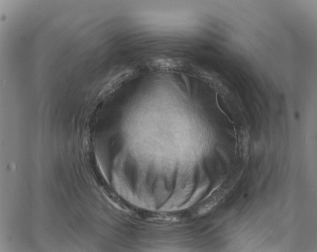 X0000066090760200603312000