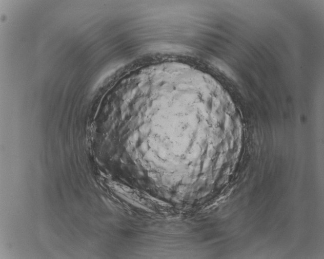 X0000066090775200603311959