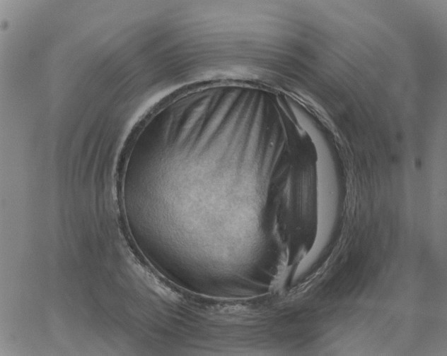 X0000066090784200603311959