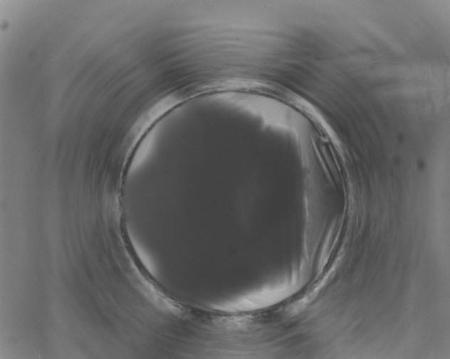 X0000066090810200603311958