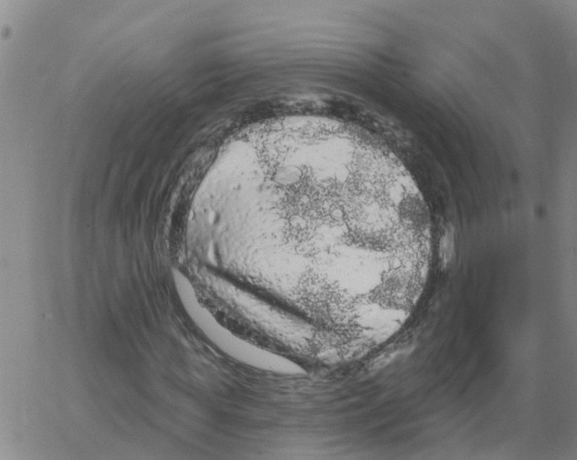 X0000066090819200603311958