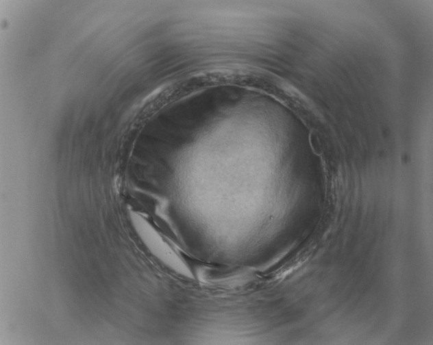 X0000066090822200603311958