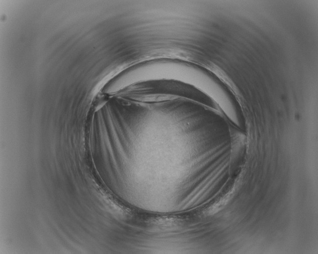 X0000066090834200603311958