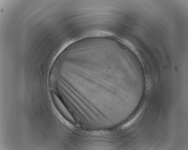 X0000066090843200603311958