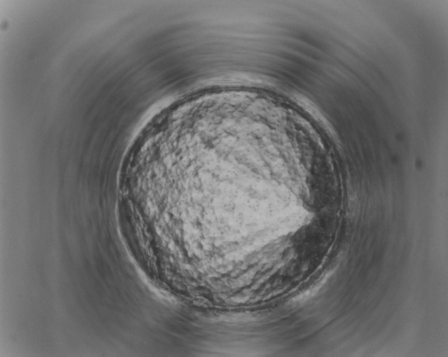 X0000066090845200603311958