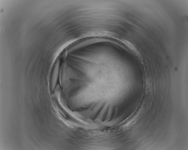 X0000066090846200603311958