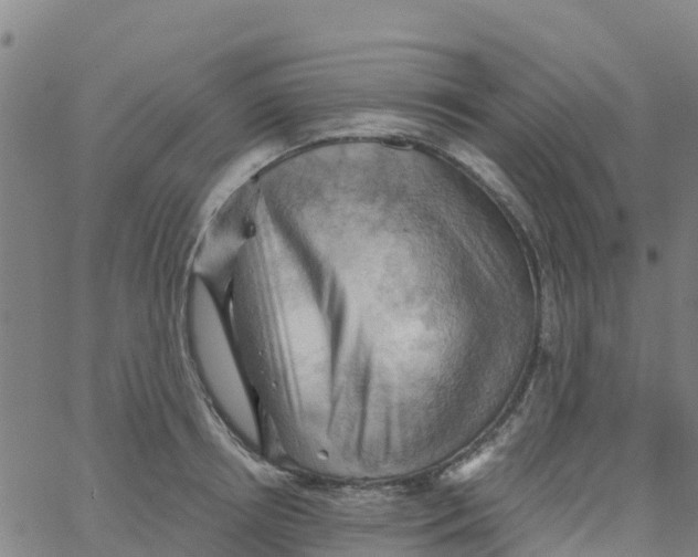 X0000066090850200603311958