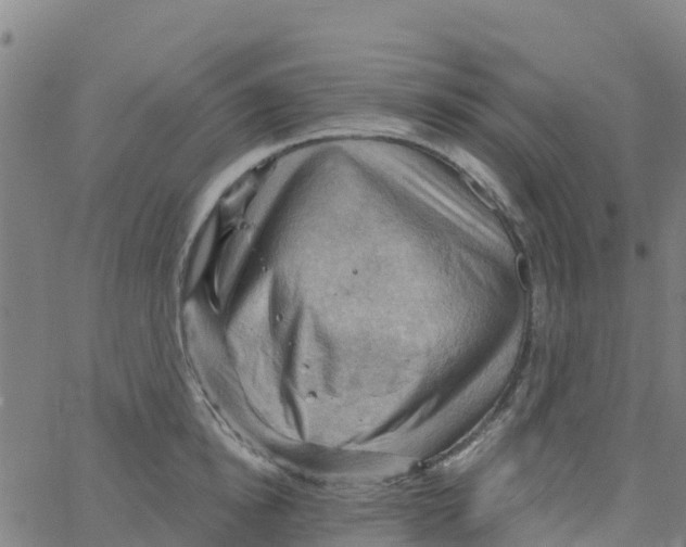 X0000066090854200603311958
