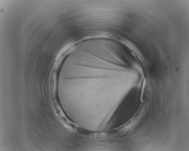 X0000066090858200603311958