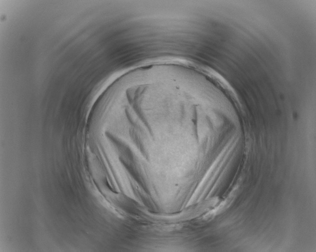 X0000066090860200603311958