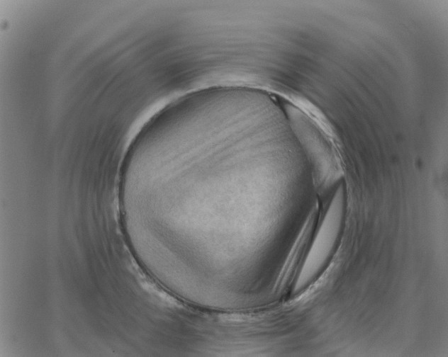 X0000066090904200603311957