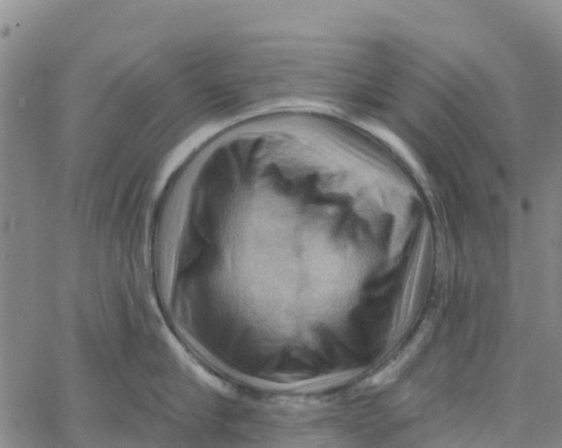 X0000066090910200603311957