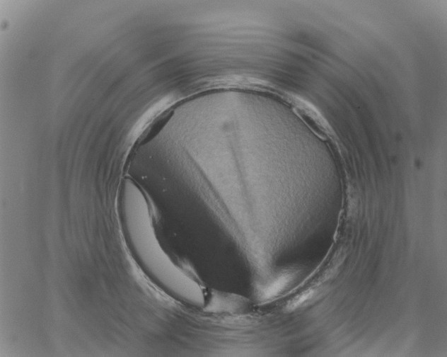 X0000066090946200603311956