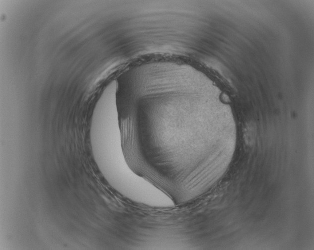X0000066090968200603311956