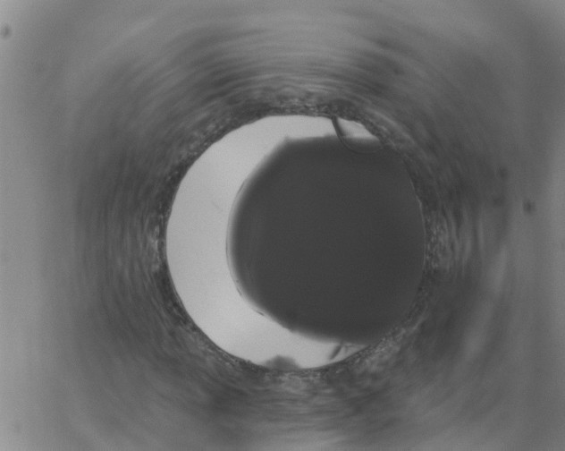 X0000066091013200603311954