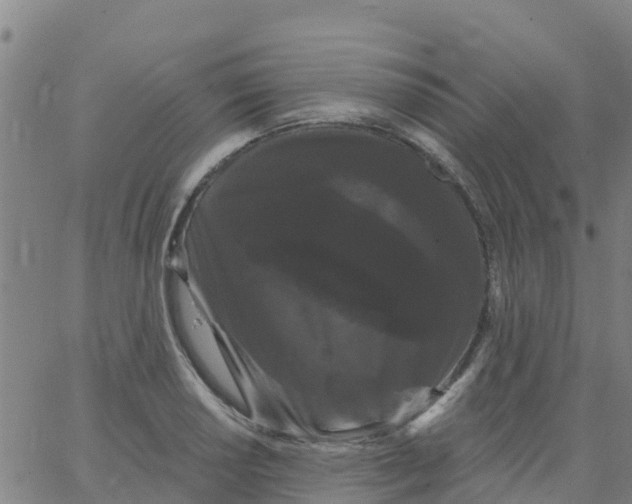 X0000066091034200603311955