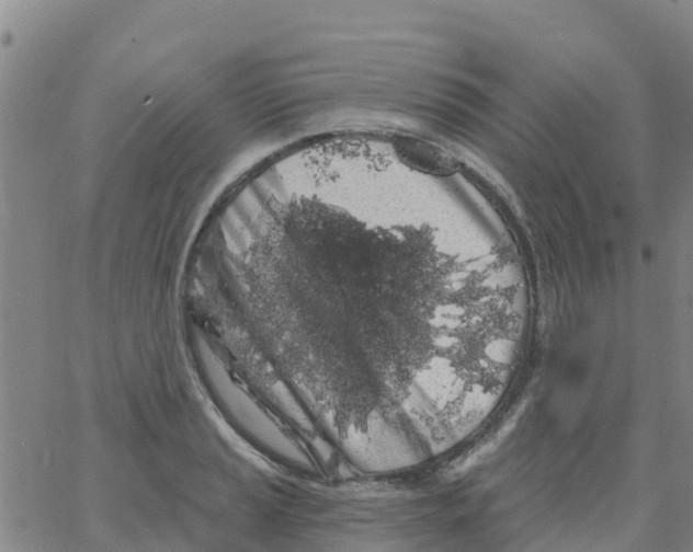 X0000066091037200603311955