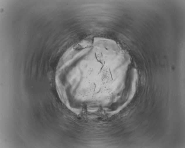 X0000066091059200603311954