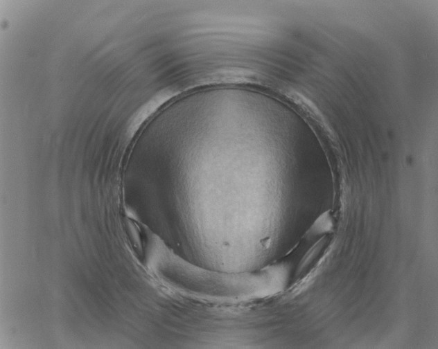 X0000066091081200603311954