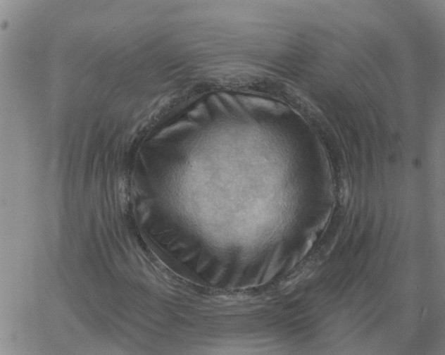 X0000066091108200603311953