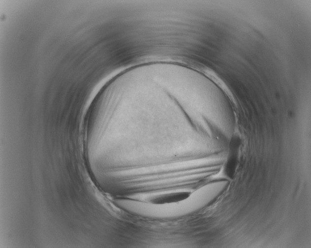 X0000066091148200603311954