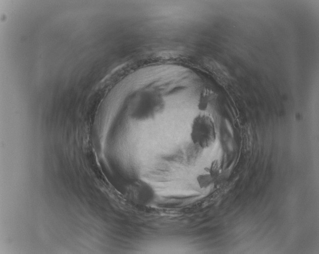 X0000066091158200603311953