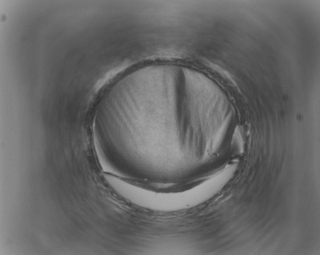 X0000066091160200603311953