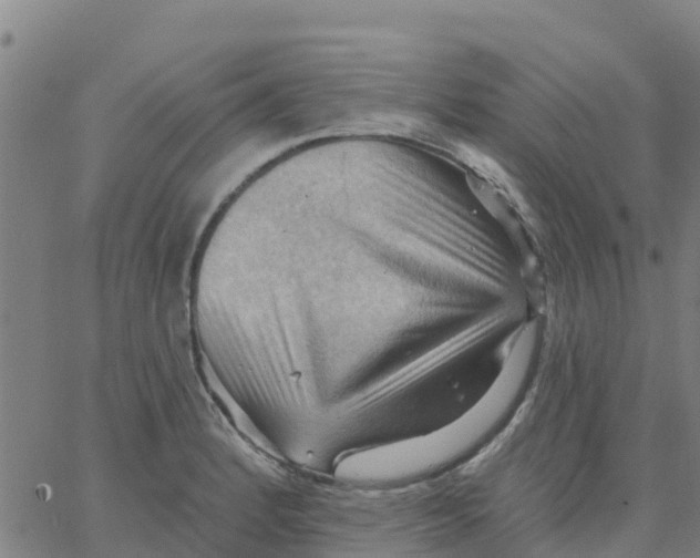 X0000066091184200603311952