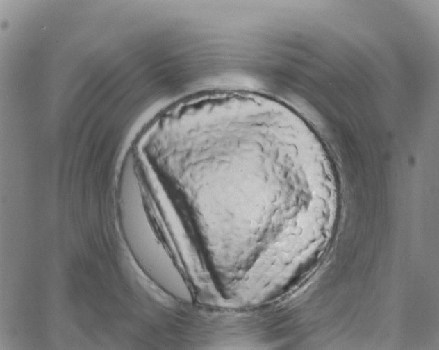 X0000066091248200603311952