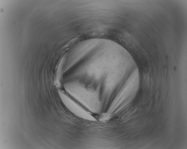 X0000066091250200603311951
