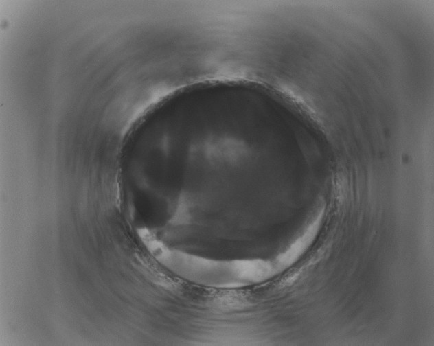 X0000066091262200603311951