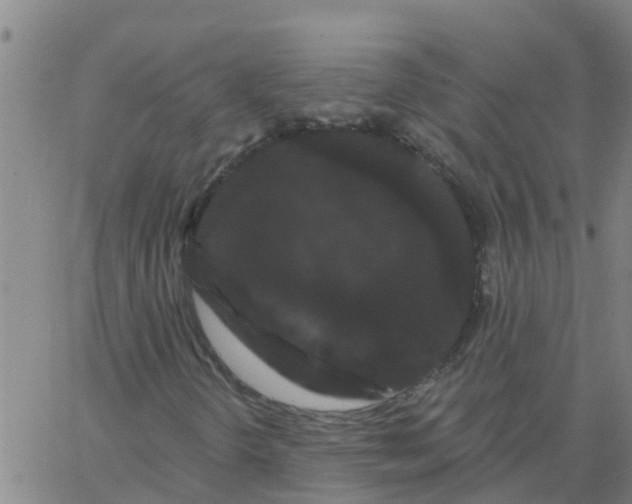 X0000066091298200603311950