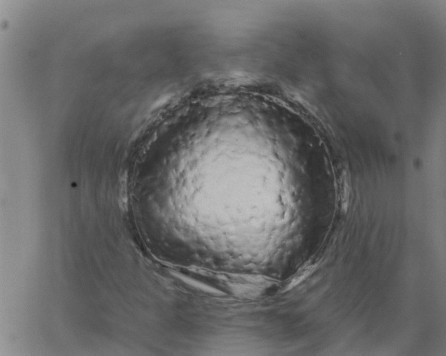 X0000066091301200603311950