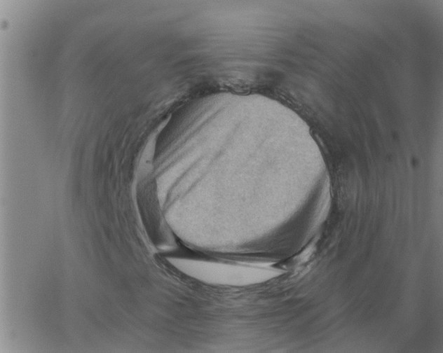 X0000066091345200603311950